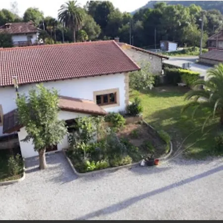 El Urogallo En El Valle De Cabuerniga
