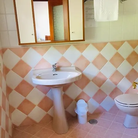 El Urogallo En El Valle De Cabuerniga
